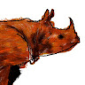 Meet your Posher, Andre